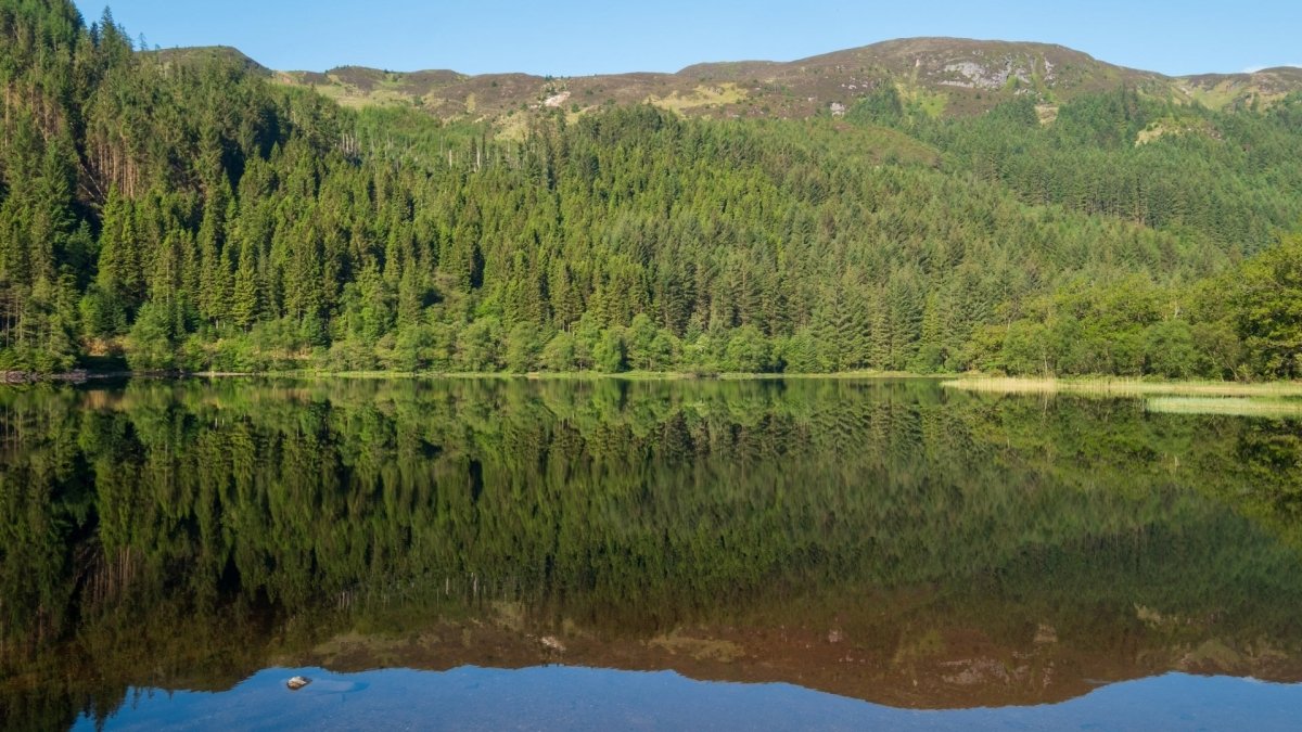 Den en Spar - MoodCompanyNL