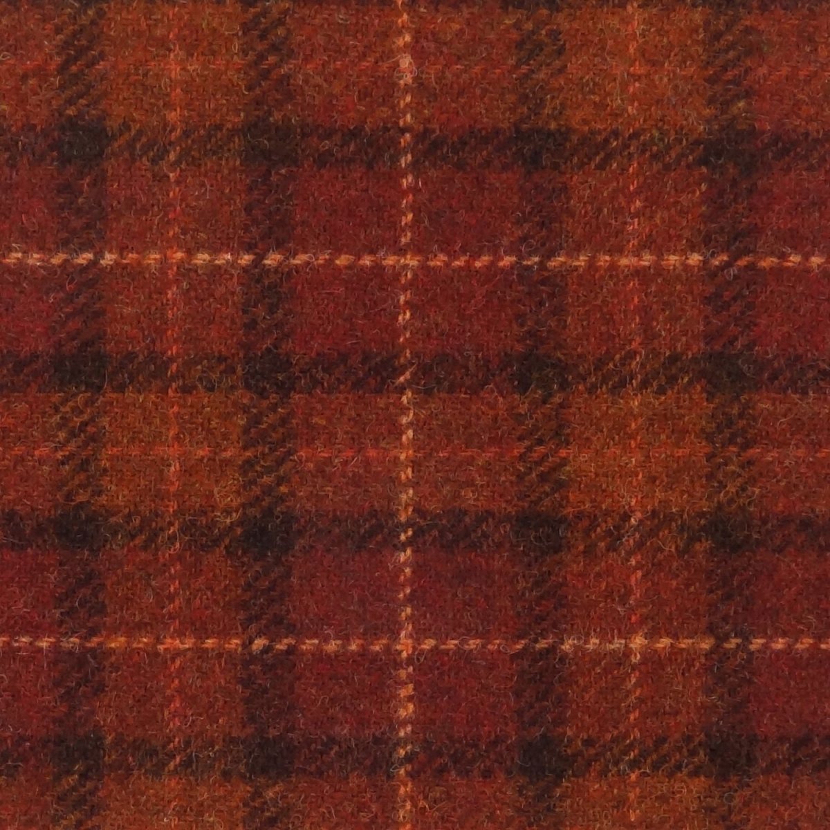 Glen Appin Bruin met Oranje - MoodCompanyNL